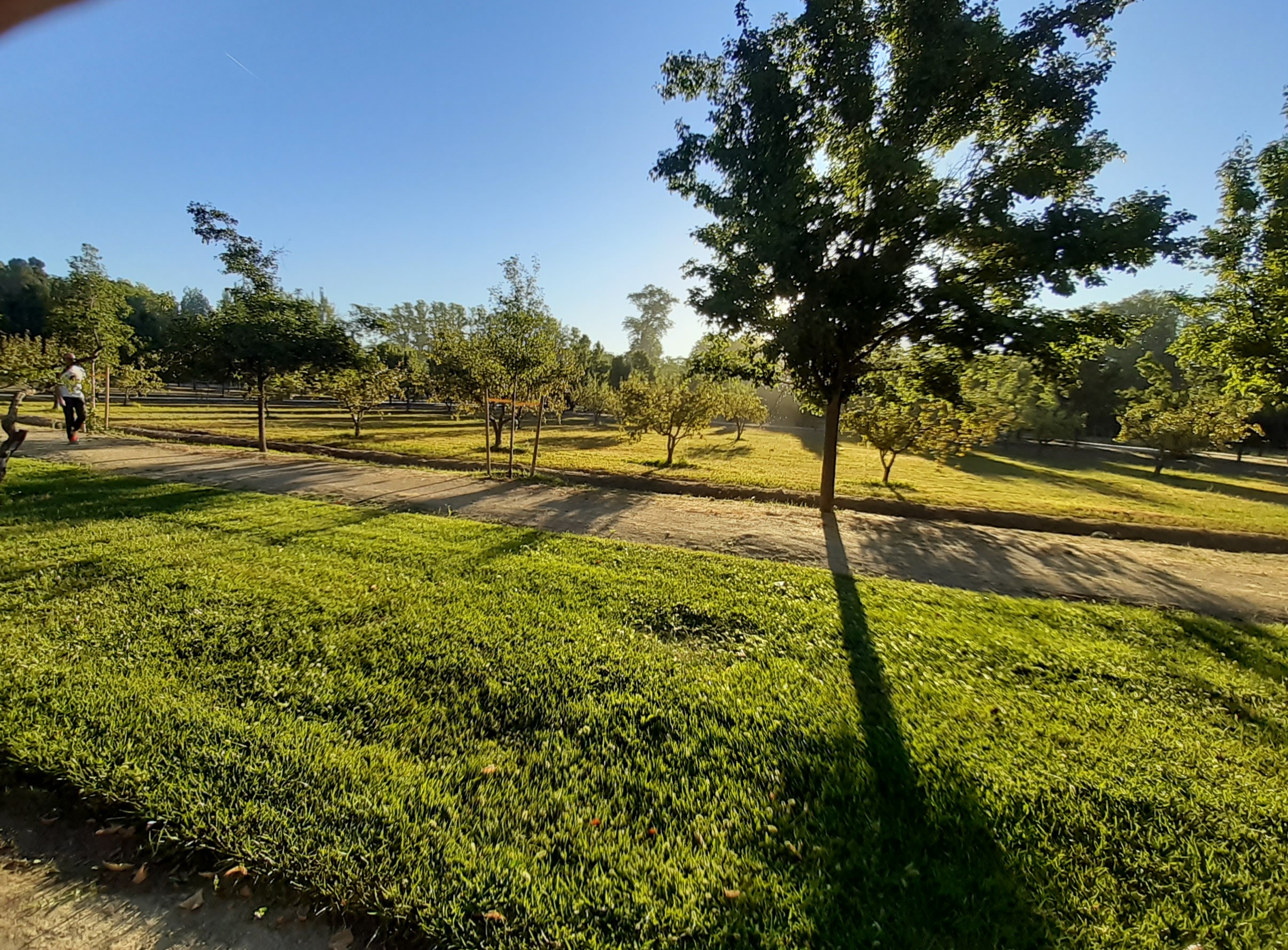 Huerta de Pabellones