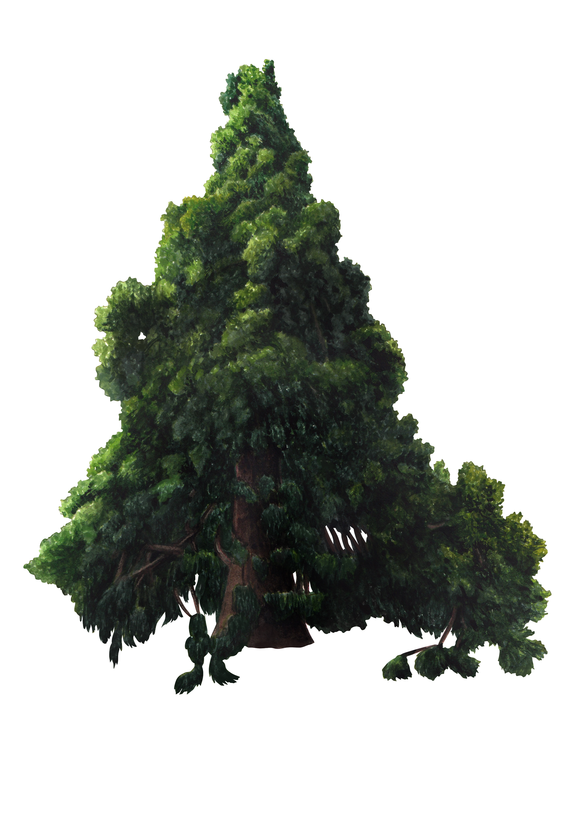 Sequoia Casa de las Flores