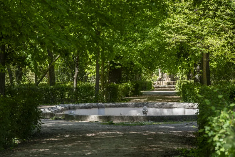 Campos Eliseos