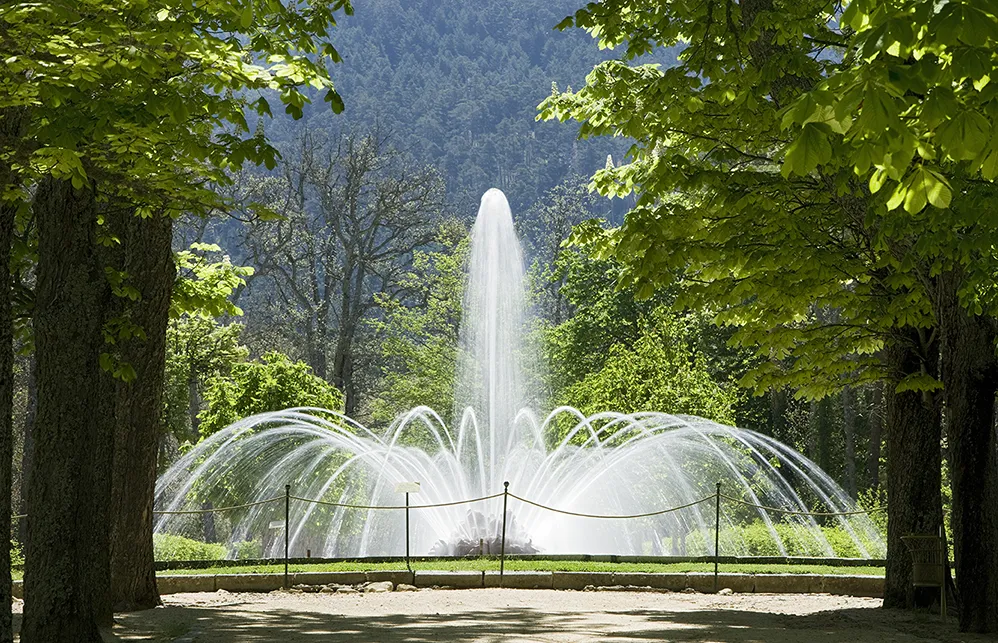 Fotografía de una fuente con chorro central de agua y surtidores en abanico entre árboles.