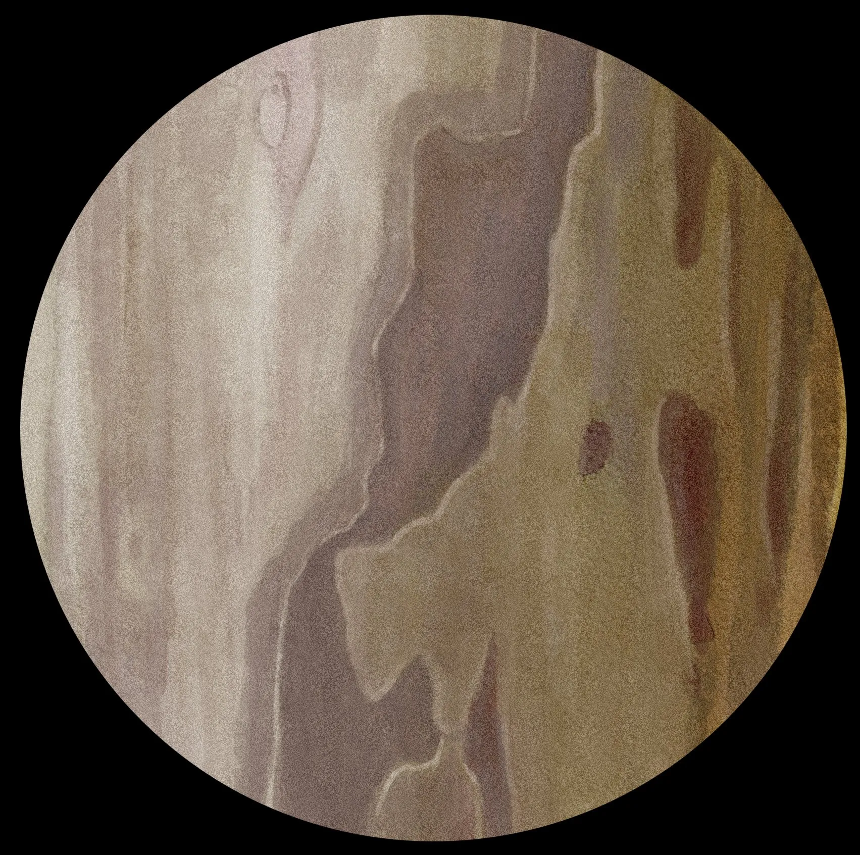 Jupiter Huerto del Francés