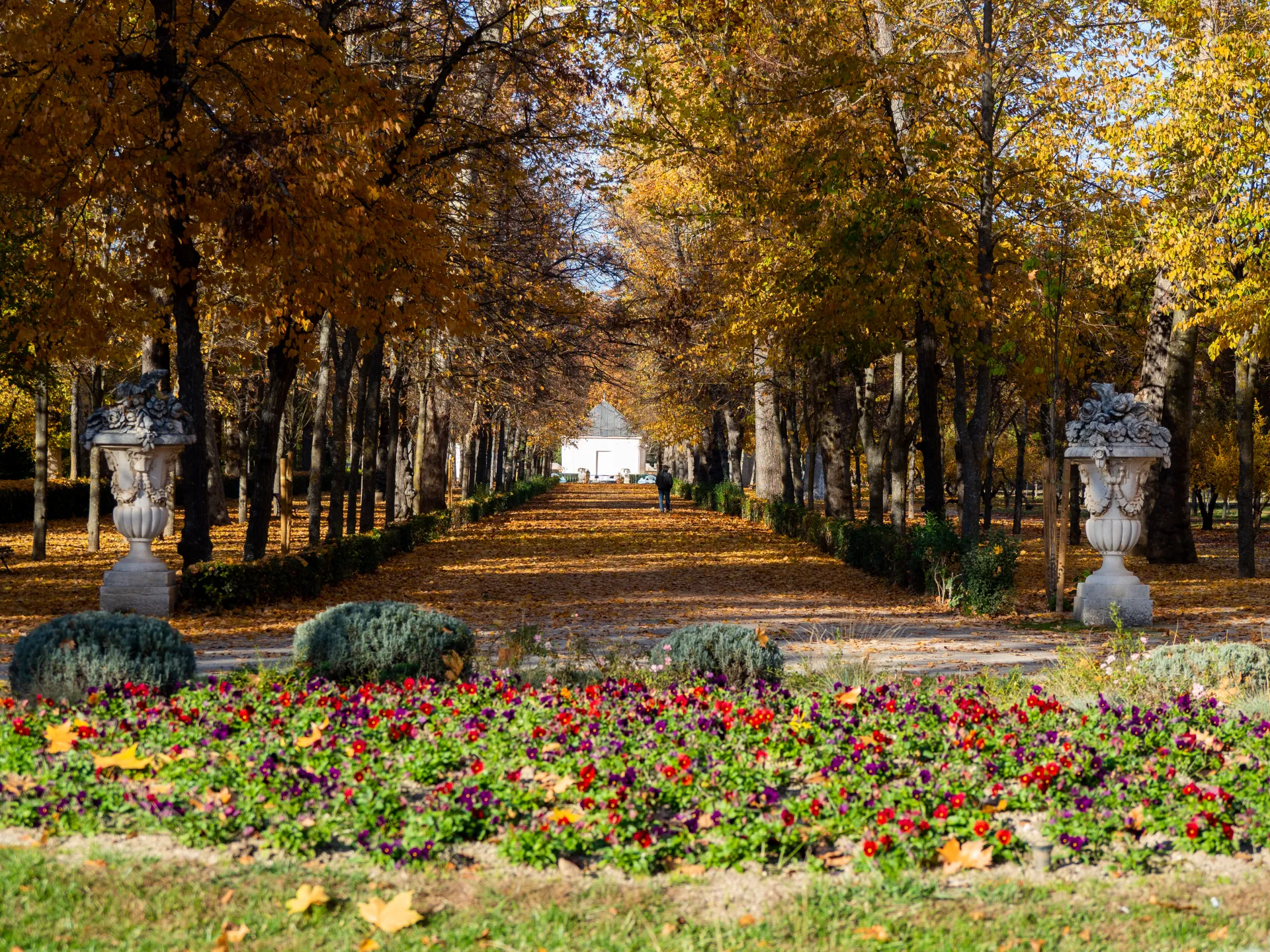 Fotografía de una alameda otoñal con arriate de flores y jarrones de piedra.