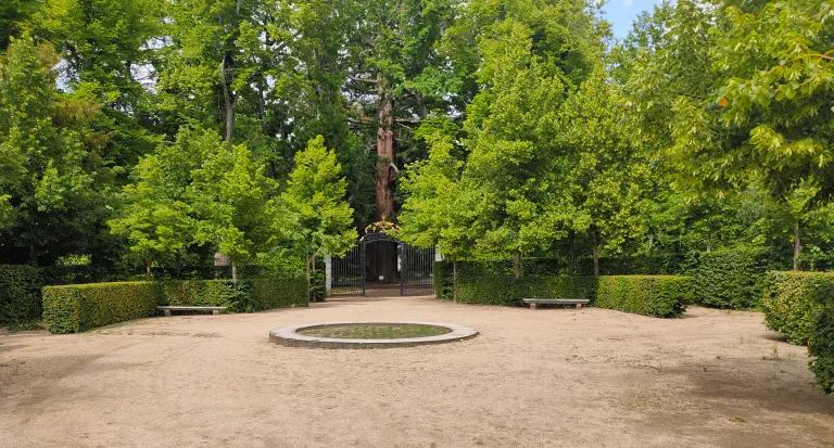 Explanada circular de tierra con un parterre bajo de piedra, bancos entre setos y una verja dorada junto a un gran árbol al fondo.