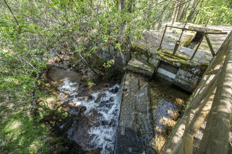 Fotografía de un partidor de aguas de piedra cubierto de musgo en un arroyo boscoso, con el caudal dividiéndose junto a una pasarela de madera.