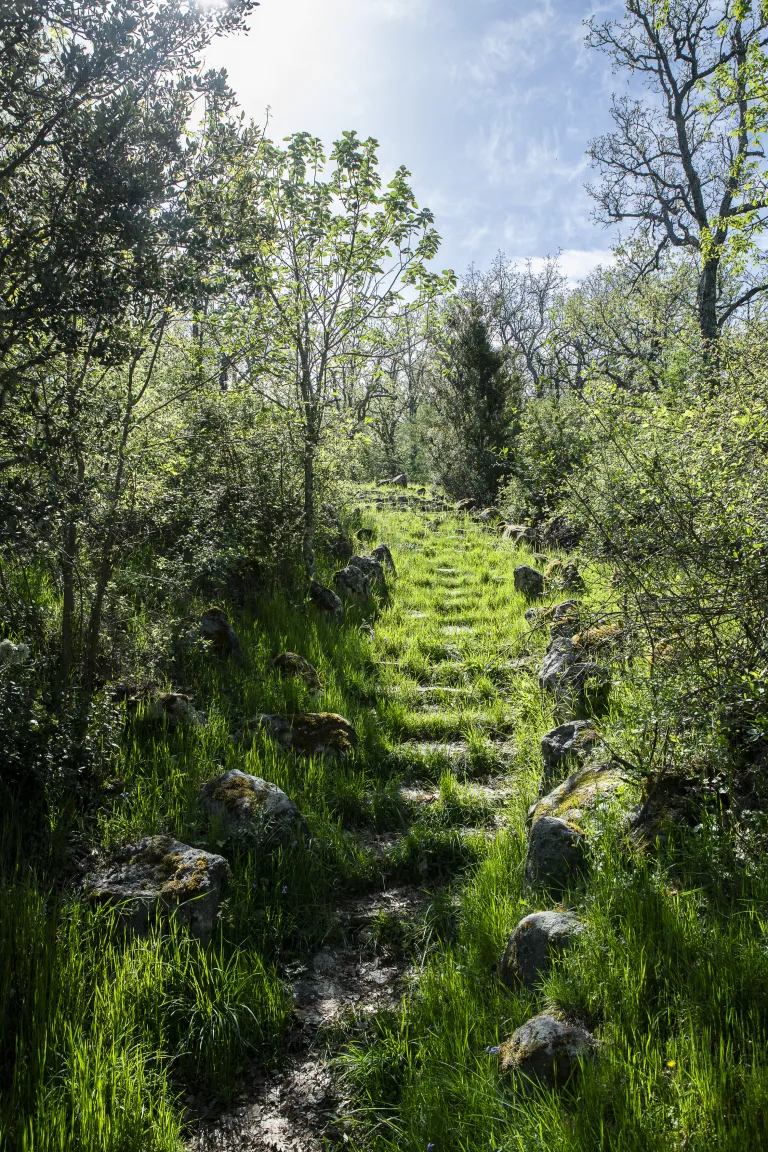 Escaleras del Gurugú. 2026. Patrimonio Nacional.