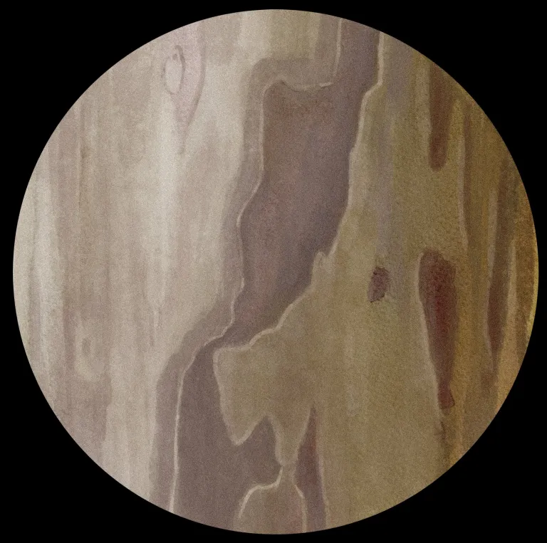 Jupiter Huerto del Francés