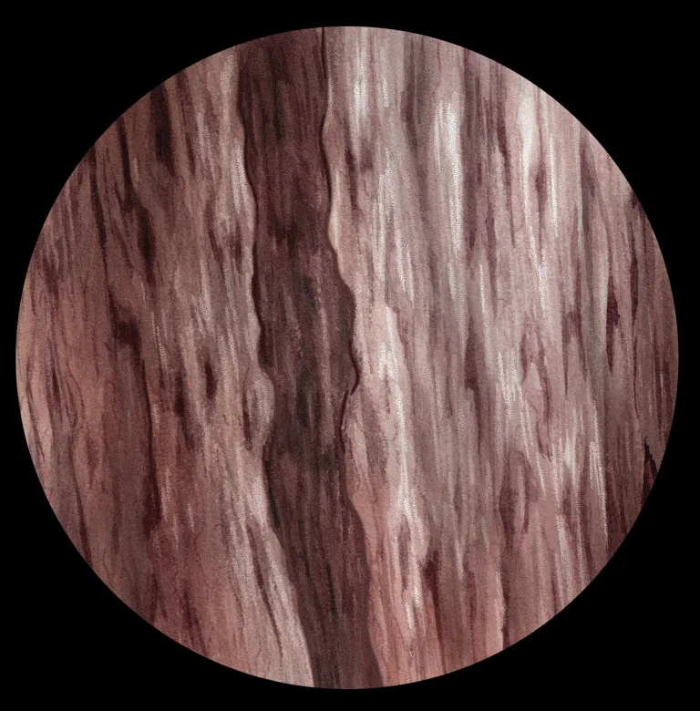 Sequoia de la Reina