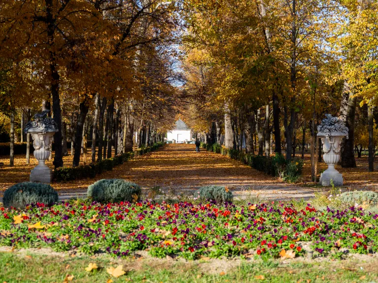 Fotografía de una alameda otoñal con arriate de flores y jarrones de piedra.
