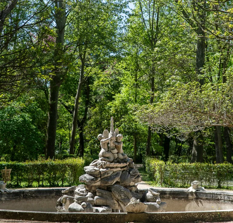 Fuente del Cisne, 2022.